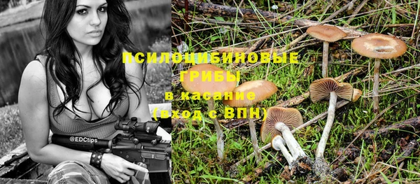 spice Елабуга