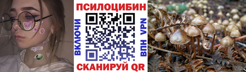 где купить   Керчь  Псилоцибиновые грибы ЛСД 